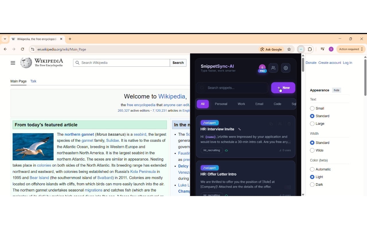 SnippetSync-AI gallery image