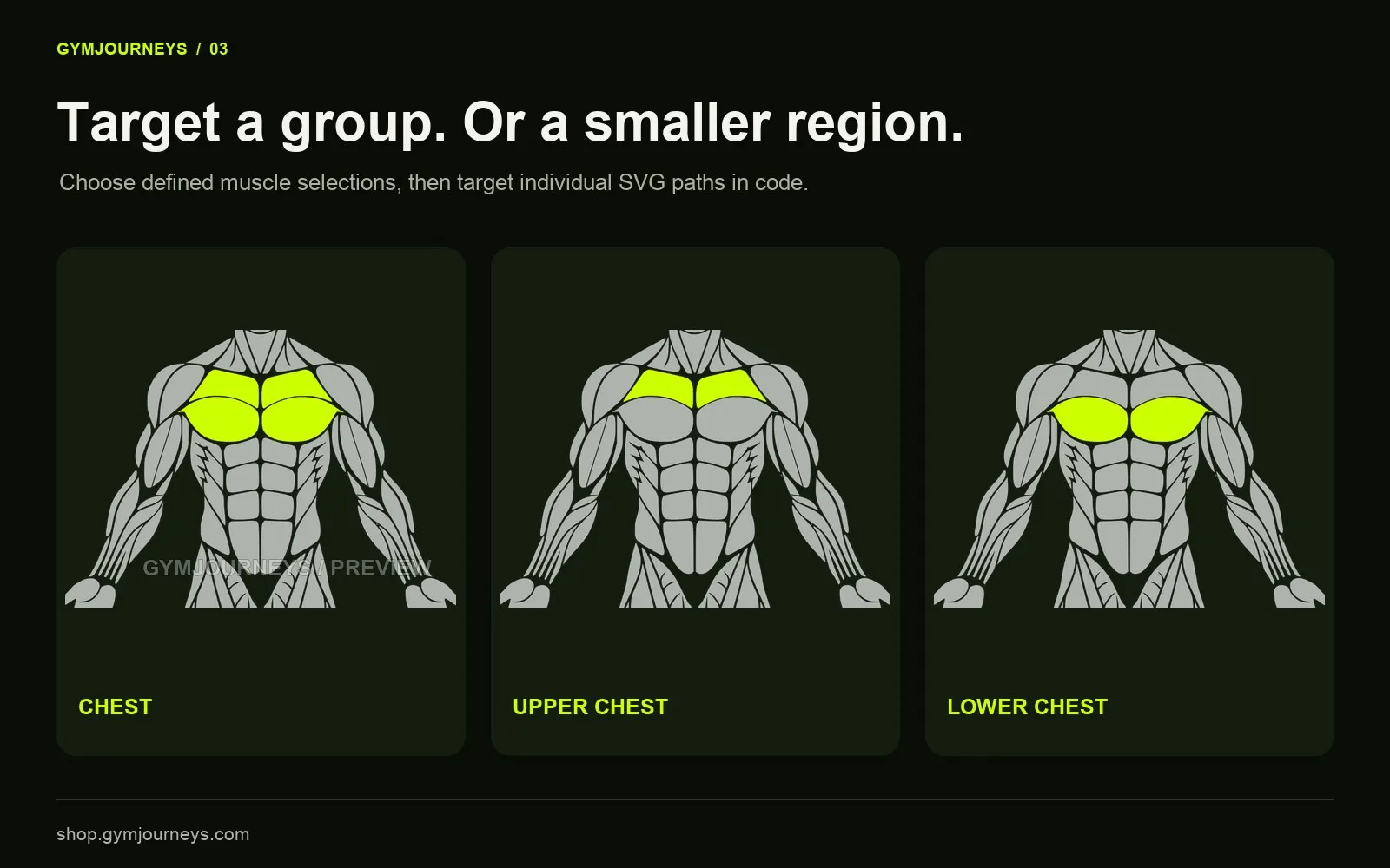 GymJourneys Muscle Collection gallery image