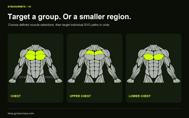 GymJourneys Muscle Collection screenshot 3