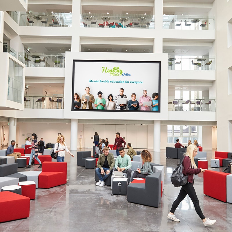 Healthy Minds gallery image