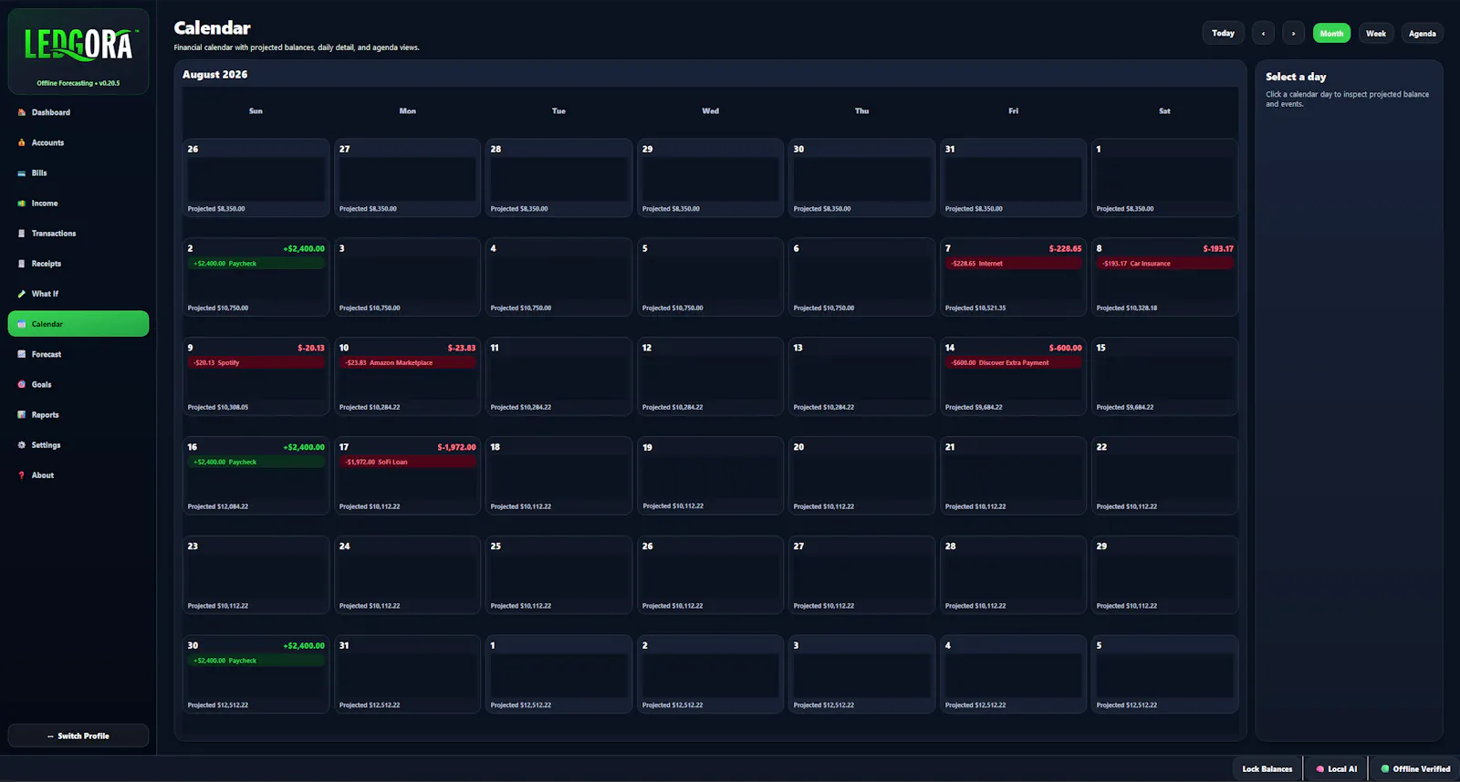 Ledgora screenshot 2