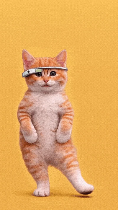 DANCING CATS App screenshot 4