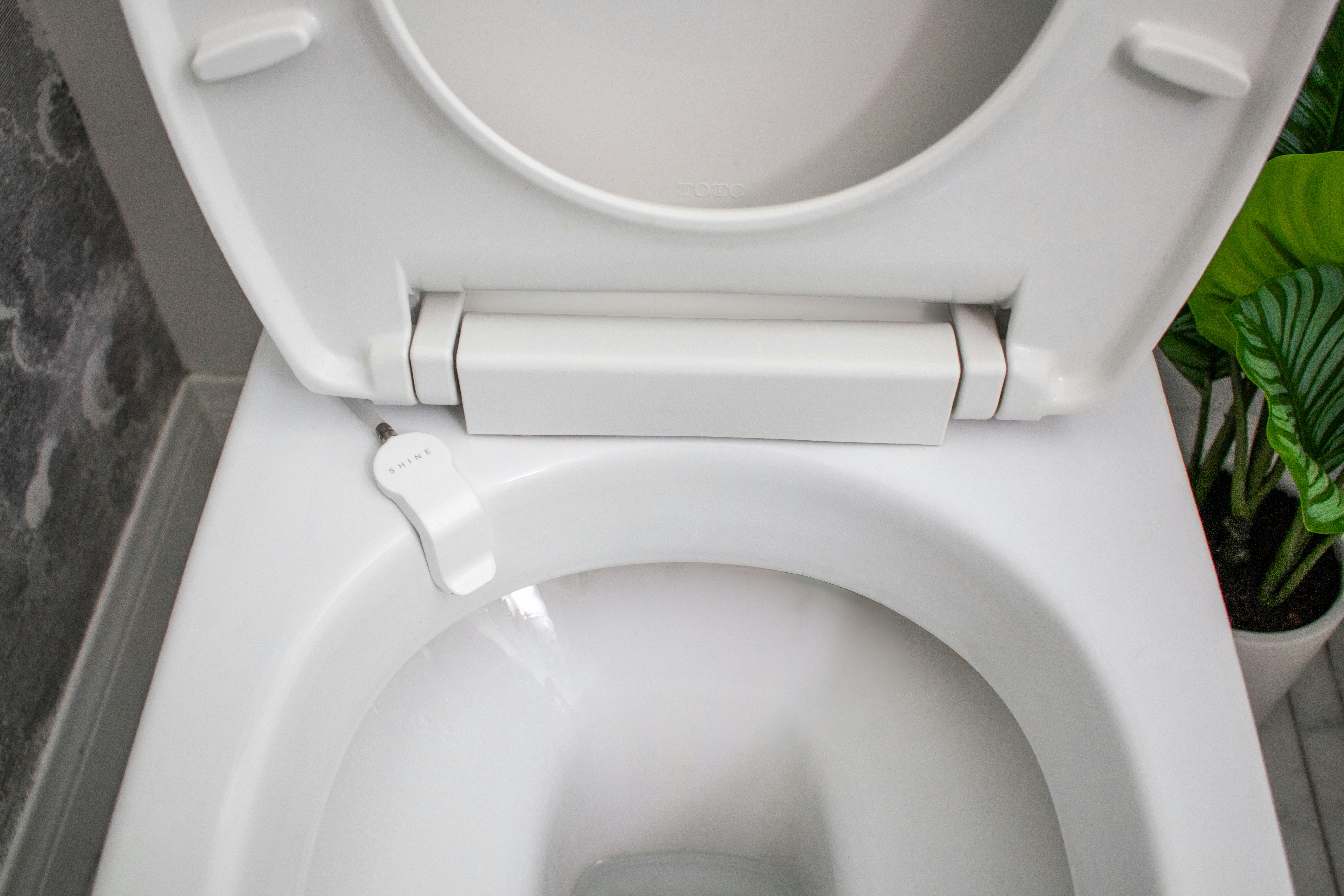 Shine Bathroom Assistant gallery image