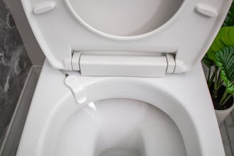 Shine Bathroom Assistant gallery image