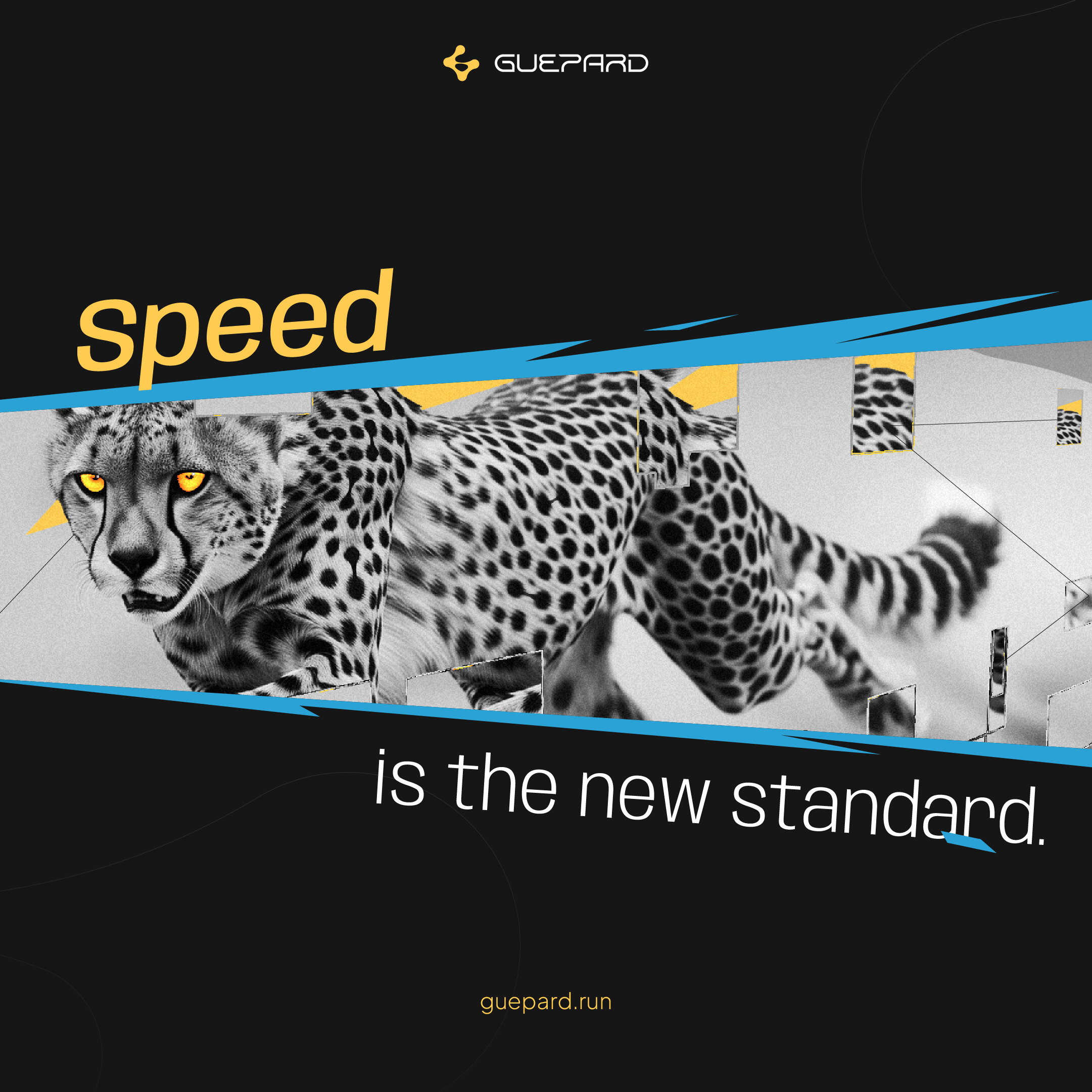 Guepard 플랫폼 미디어 5