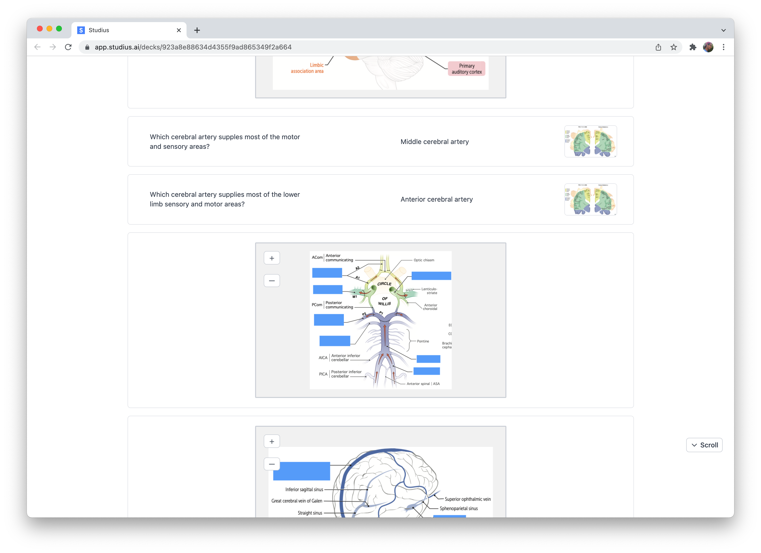 Studius gallery image