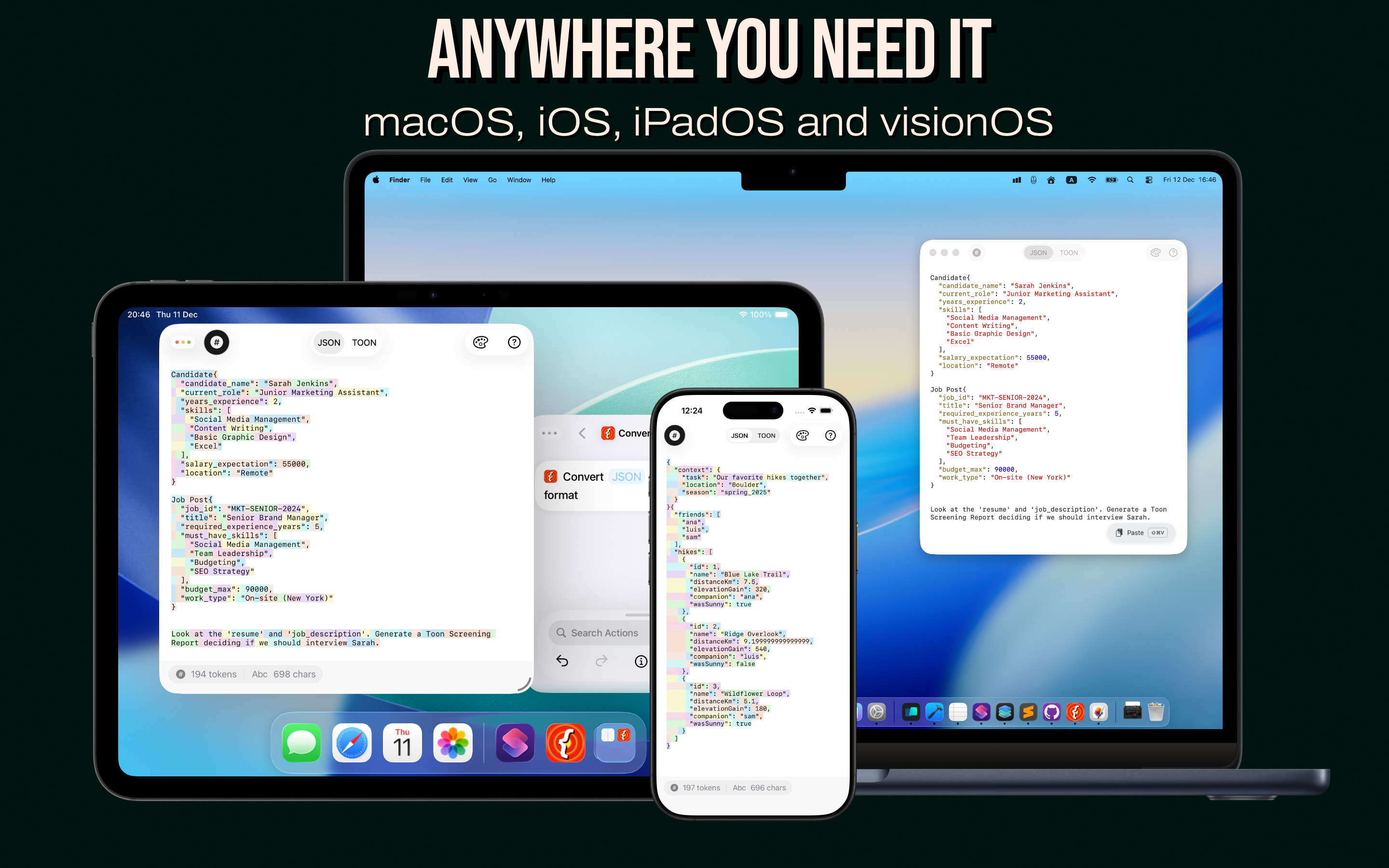 Json2Toon gallery image