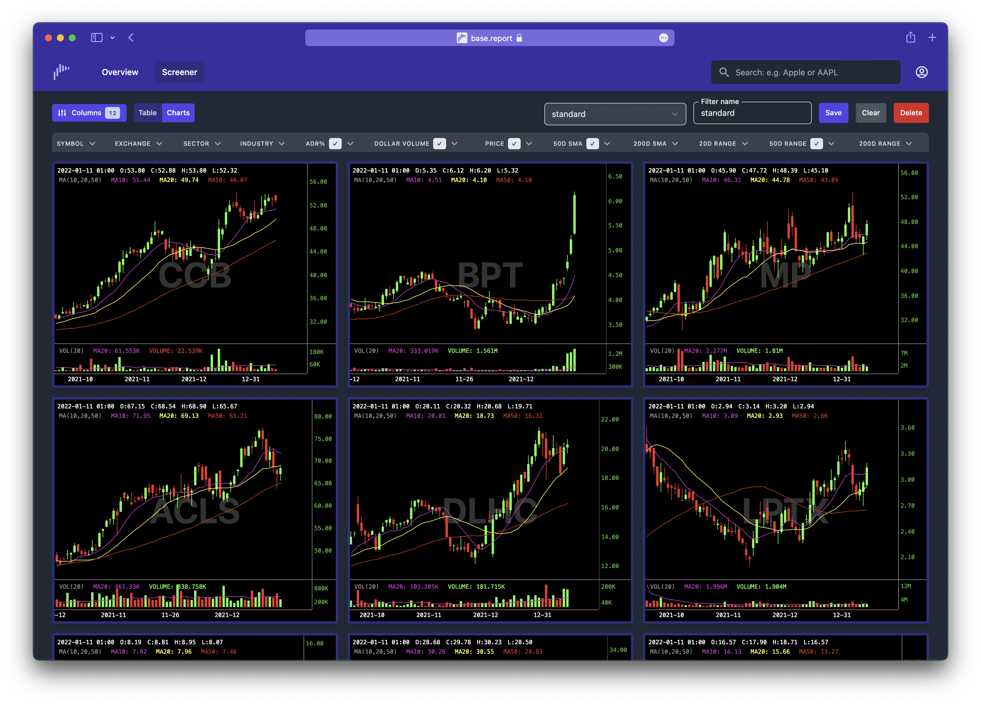 base report gallery image