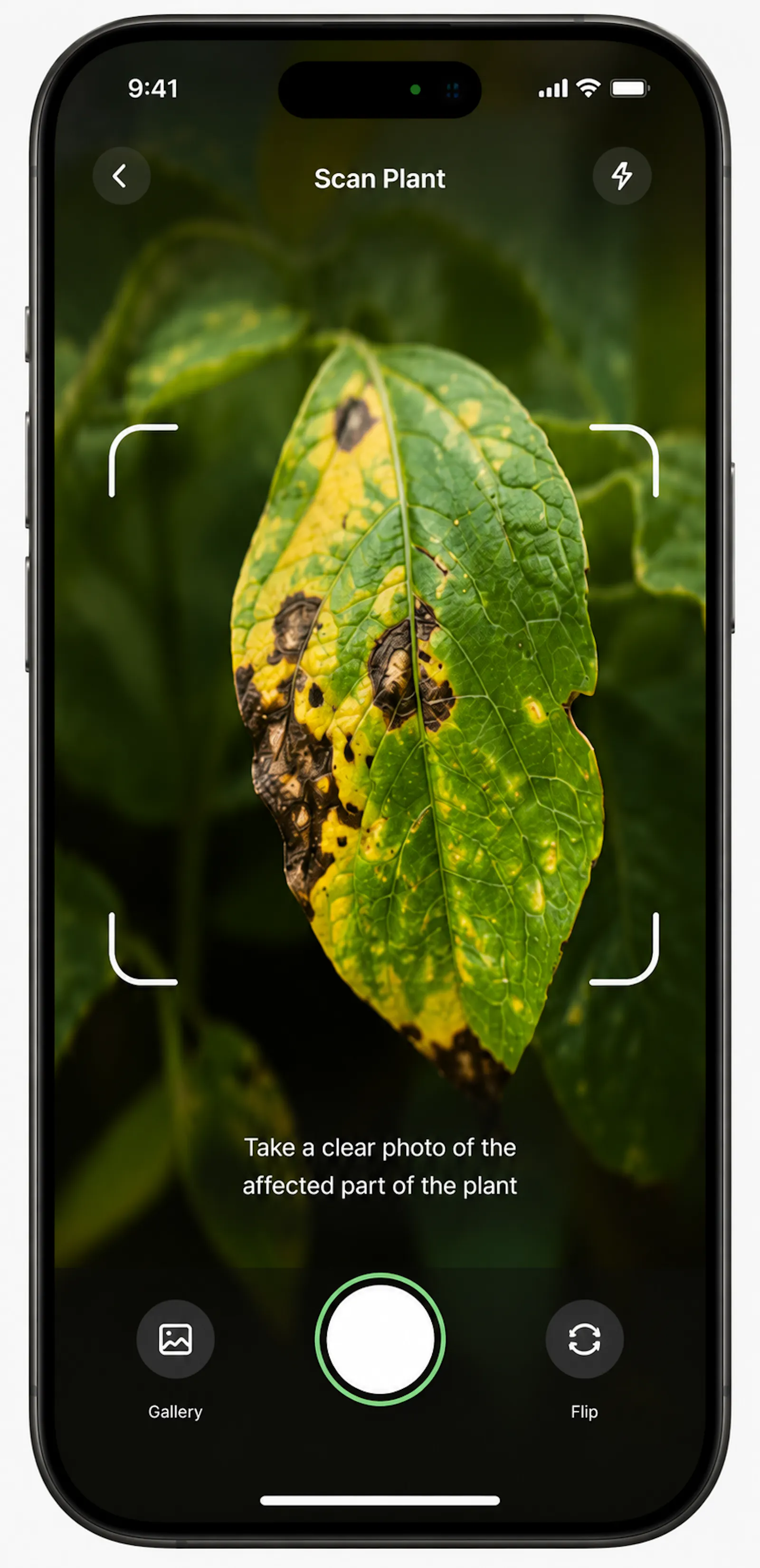 Green Guard  screenshot 4