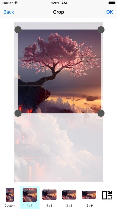 PicEdit gallery image