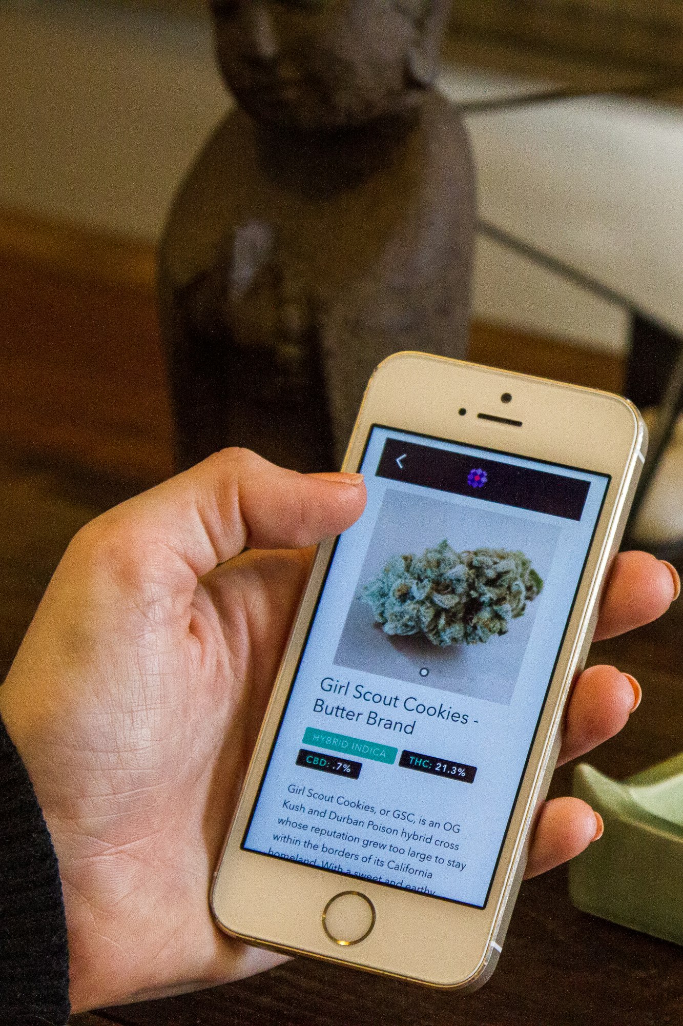 Meadow Platform gallery image