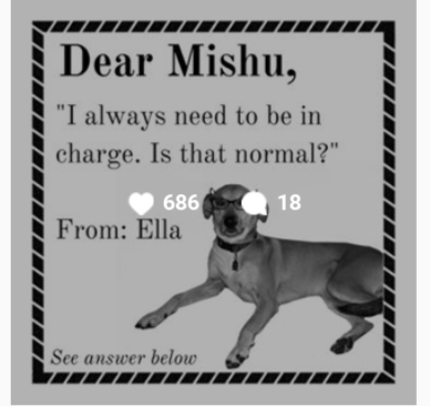 Dear Mishu gallery image