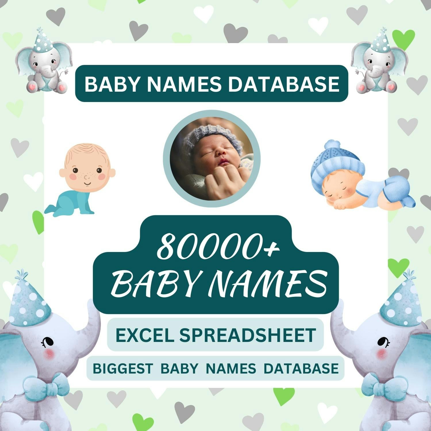 80000+ Baby Names Database