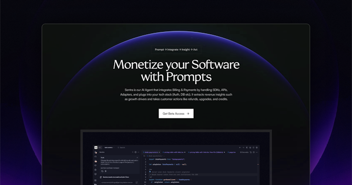 Sentra by Dodo Payments产品图
