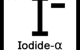 Pyodide media 1