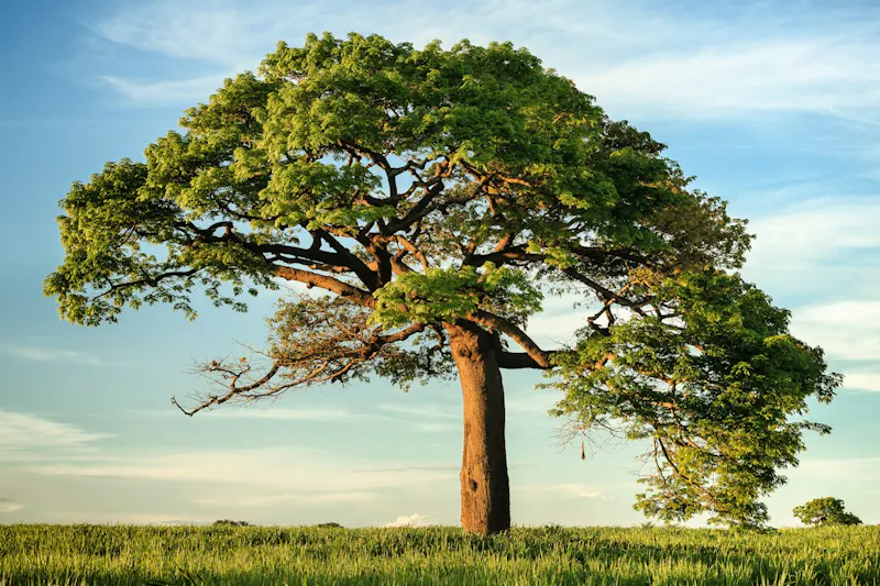 NatureGram screenshot 1