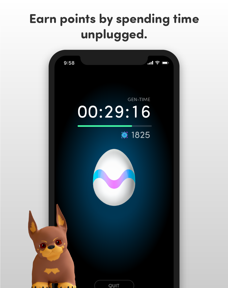 Lightdogs gallery image