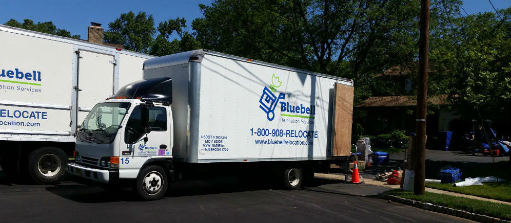 Bluebell Relocation Services cover