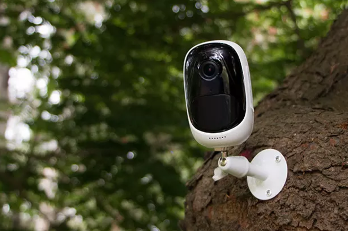 Reolink Argus gallery image