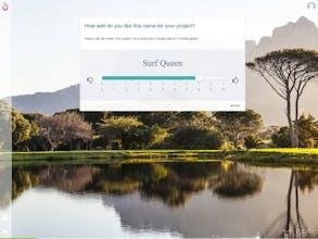 Namefruits gallery image