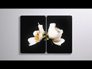 Microsoft Surface Neo gallery image