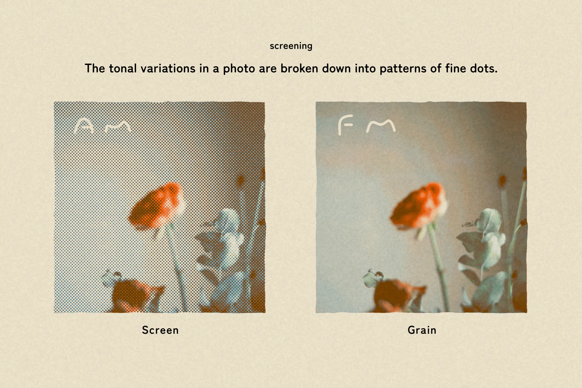 tone – Print-like photo editor gallery image