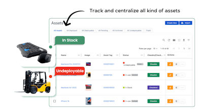 AssetLoom gallery image