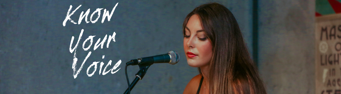 Know Your Voice - Steps to Vocal Confidence gallery image