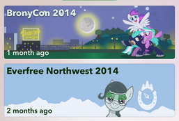 Pony Cons gallery image