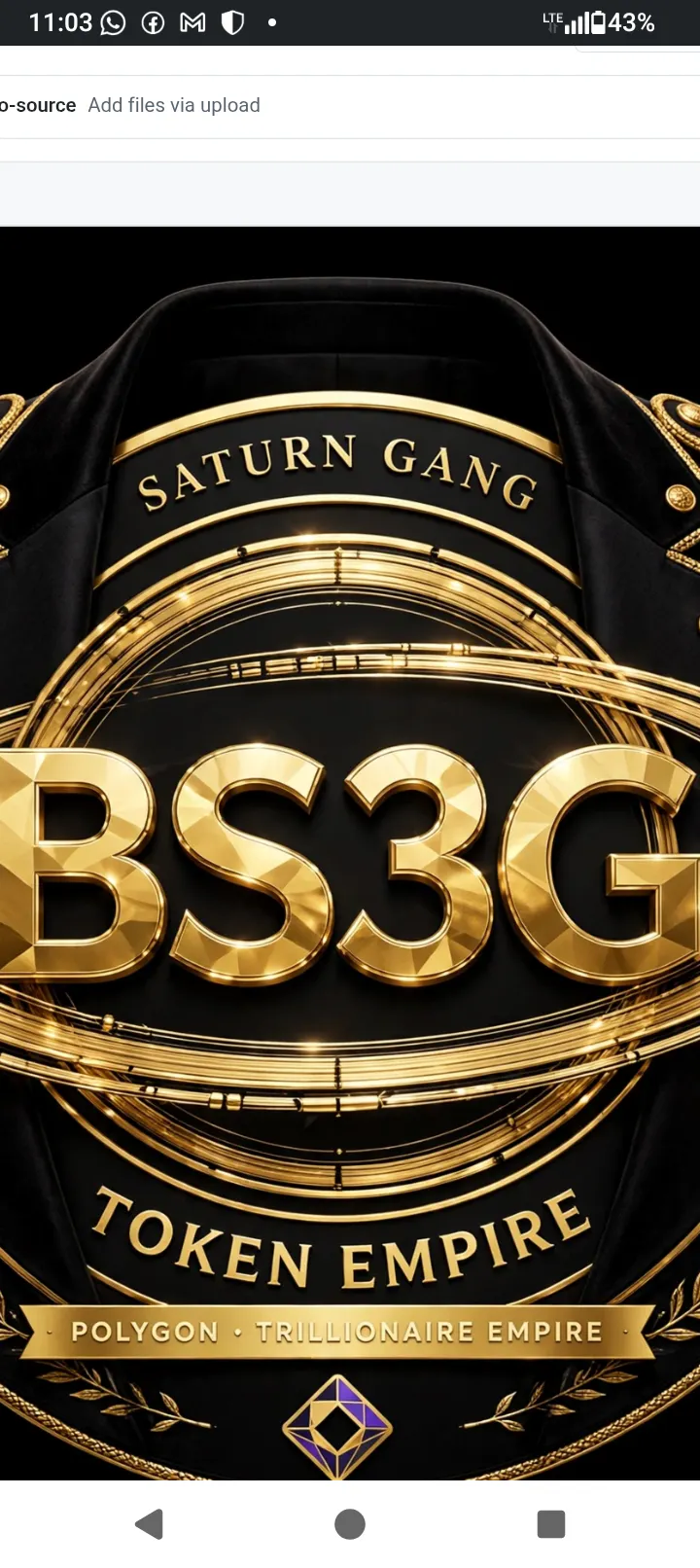 BS3G Token Empire