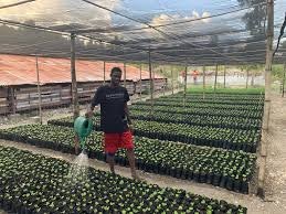 Treeapp gallery image