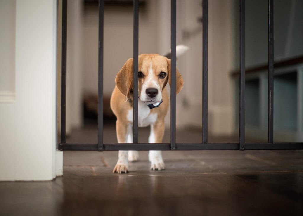 Hide A Gate gallery image