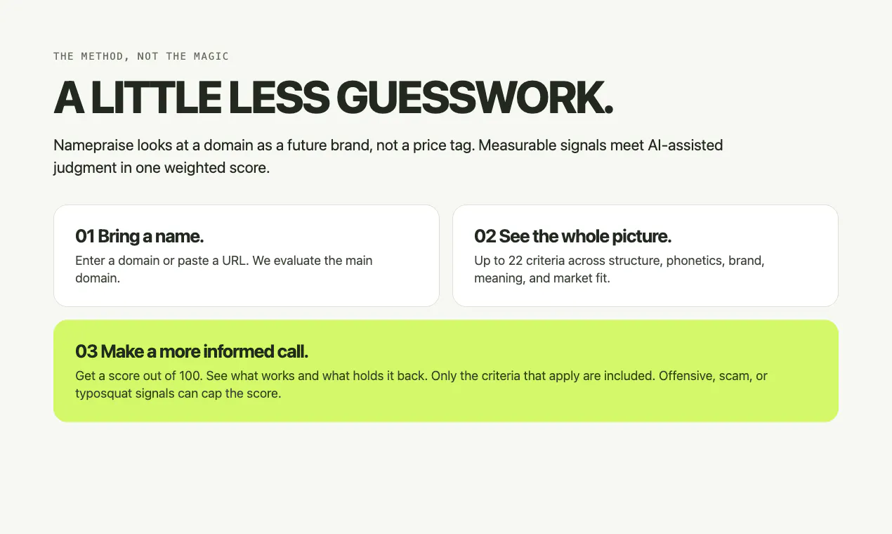 Namepraise - domain name scoring gallery image