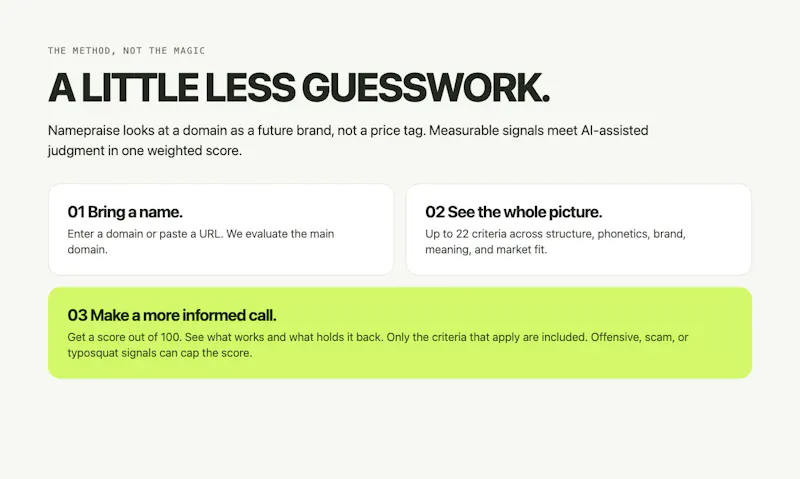 Namepraise - domain name scoring screenshot 3