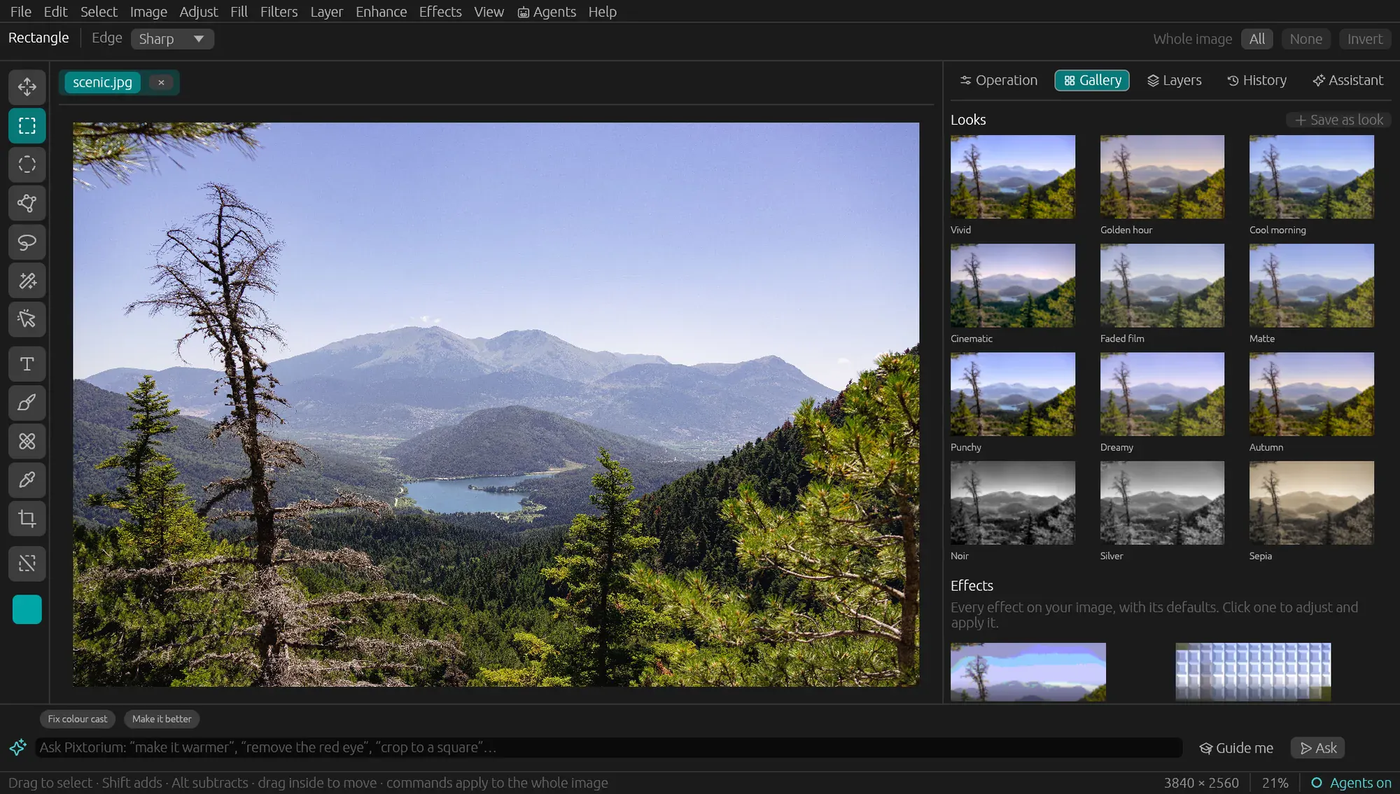 Pixtorium gallery image