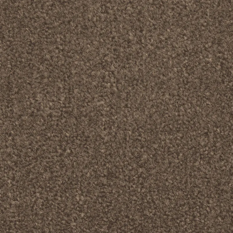 Carpets Online