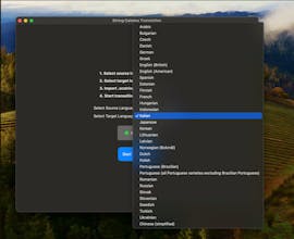 String Catalog Translation gallery image