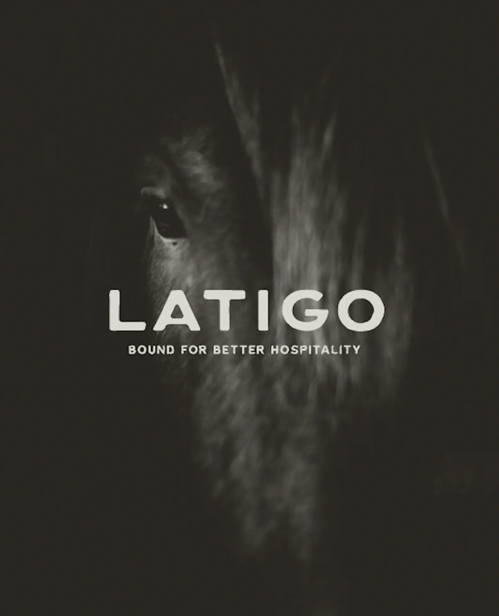 Latigo screenshot 3