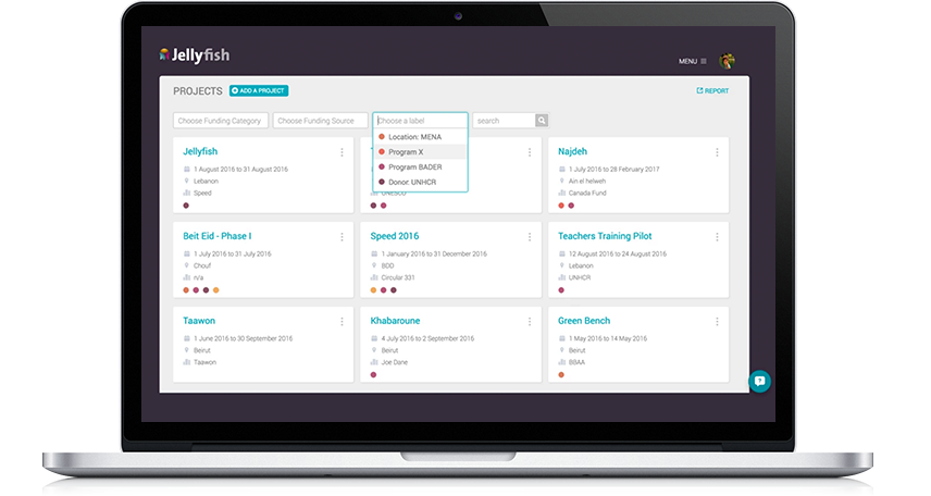 Jellyfish gallery image