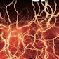 Energy: A Beginner's Guide
