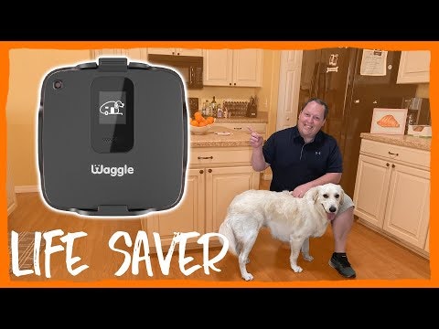 Waggle Pet Monitor gallery image