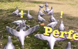 Pigeon Panic! media 1