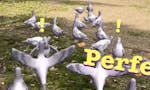 Pigeon Panic! image