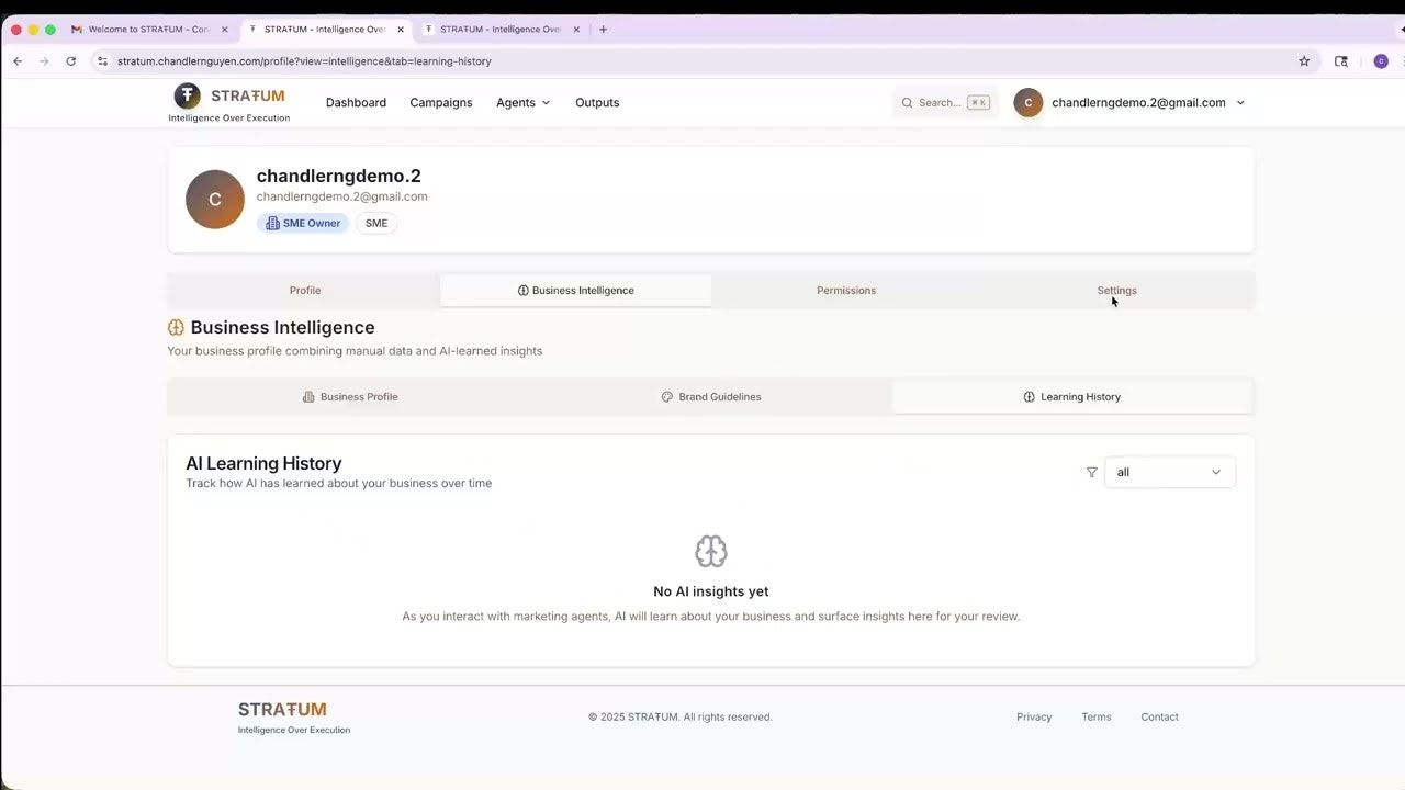 STRAŦUM - AI Marketing Intelligence  gallery image
