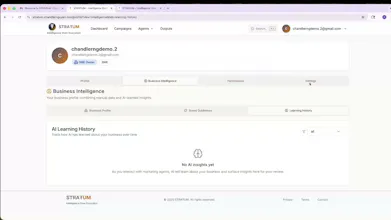 STRAŦUM - AI Marketing Intelligence gallery image