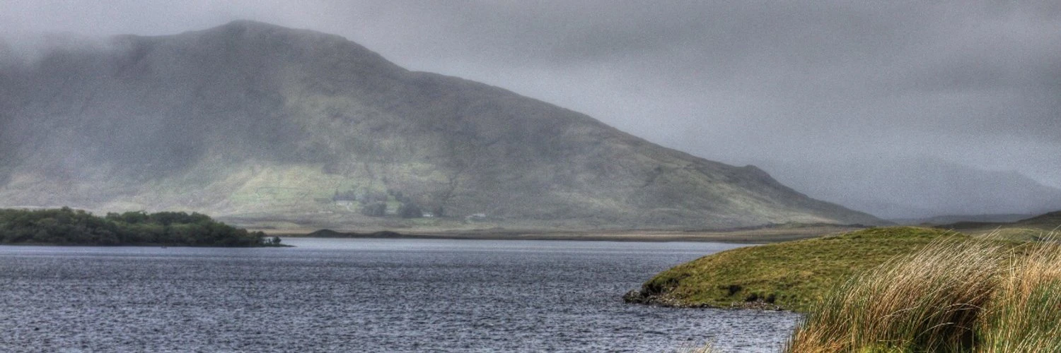 Priyashaa Ghos cover