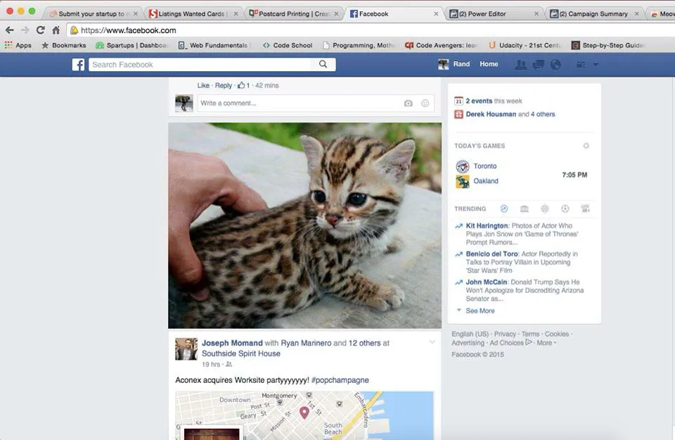 Meow Blocker Pro