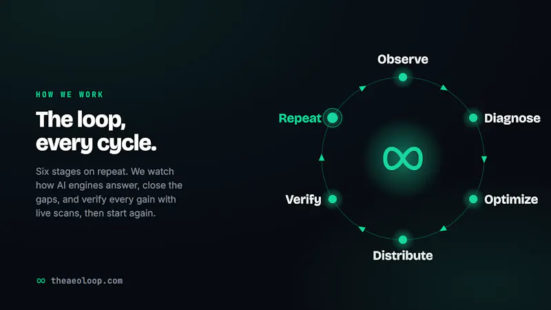 The AEO Loop Scanner screenshot 3
