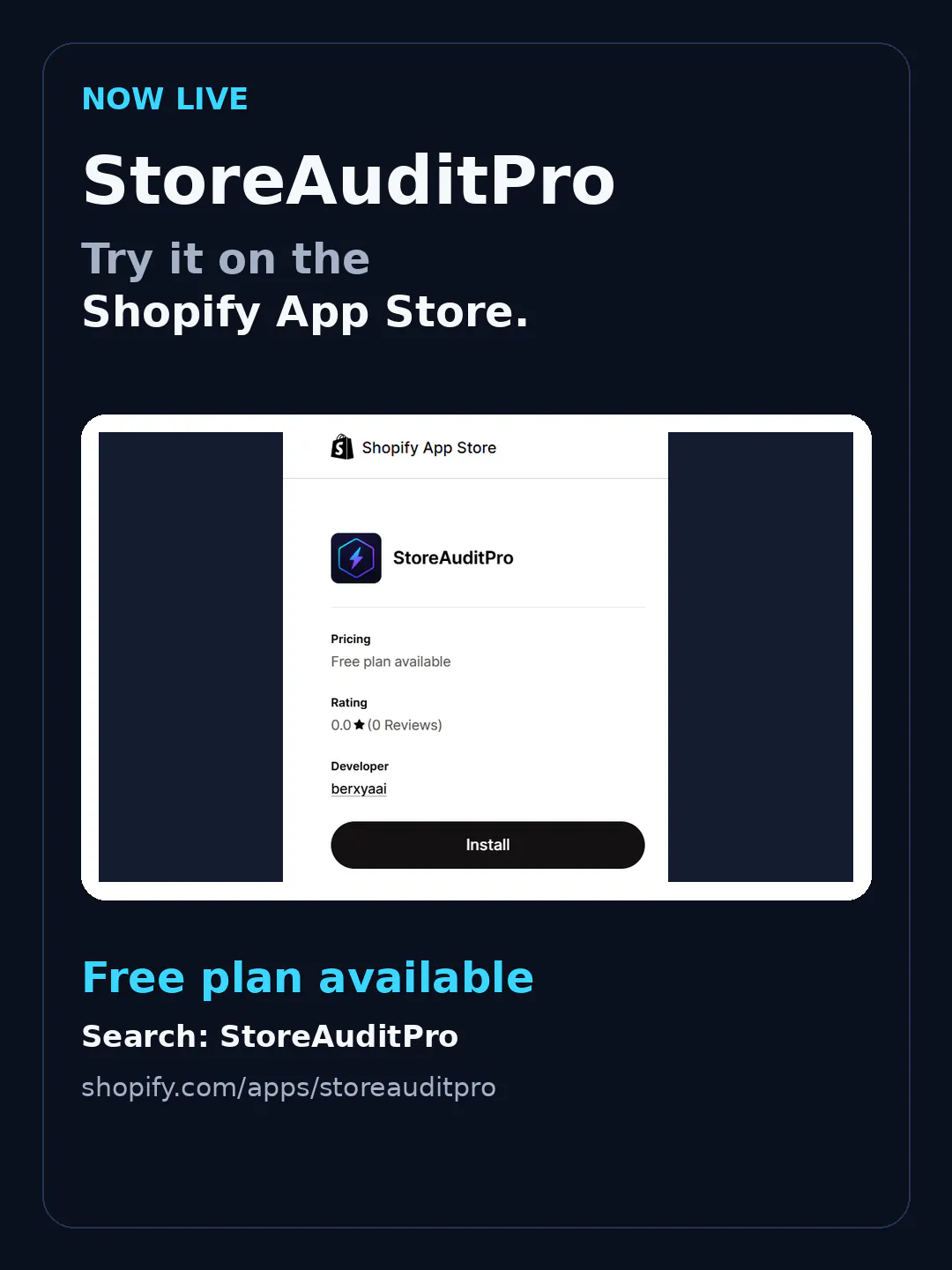 StoreAuditPro