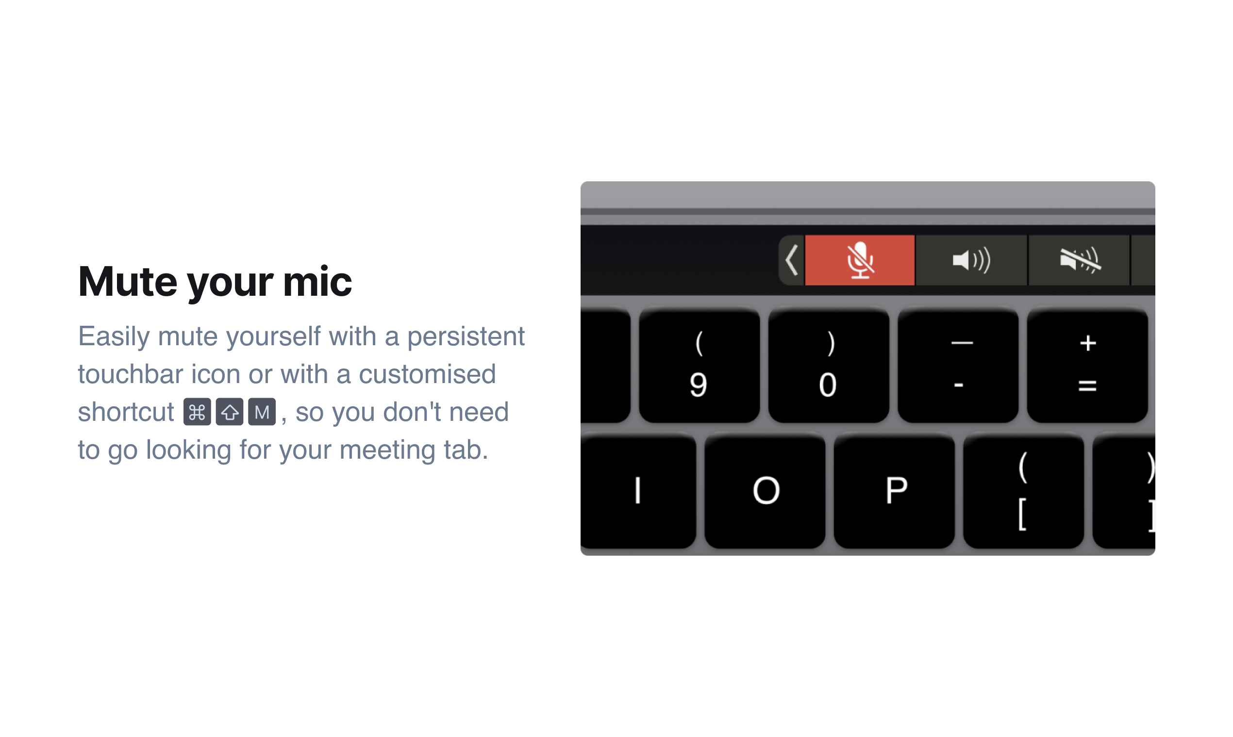 PliimPRO gallery image